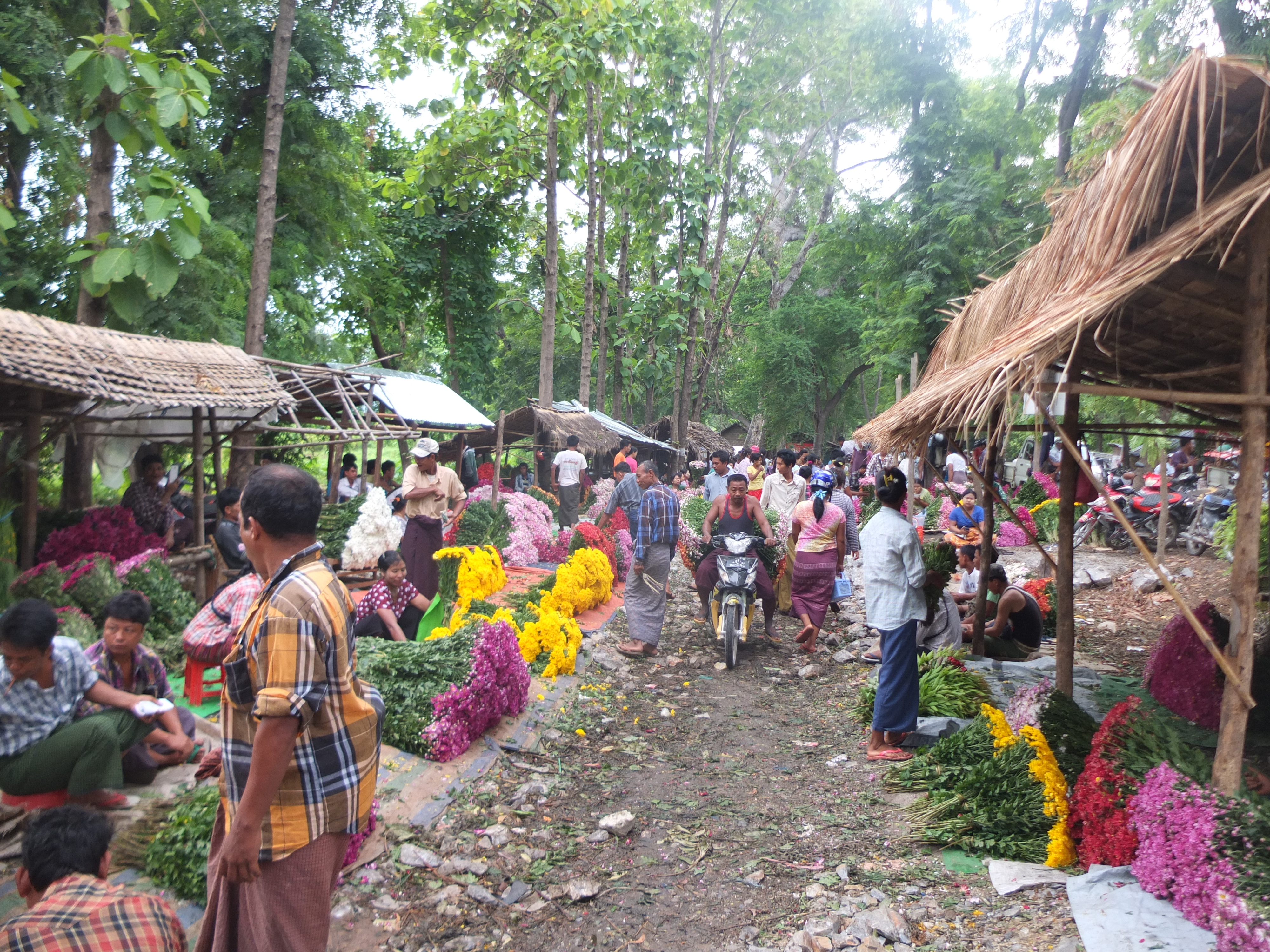 Chợ chủ yếu b&aacute;n hoa c&uacute;c