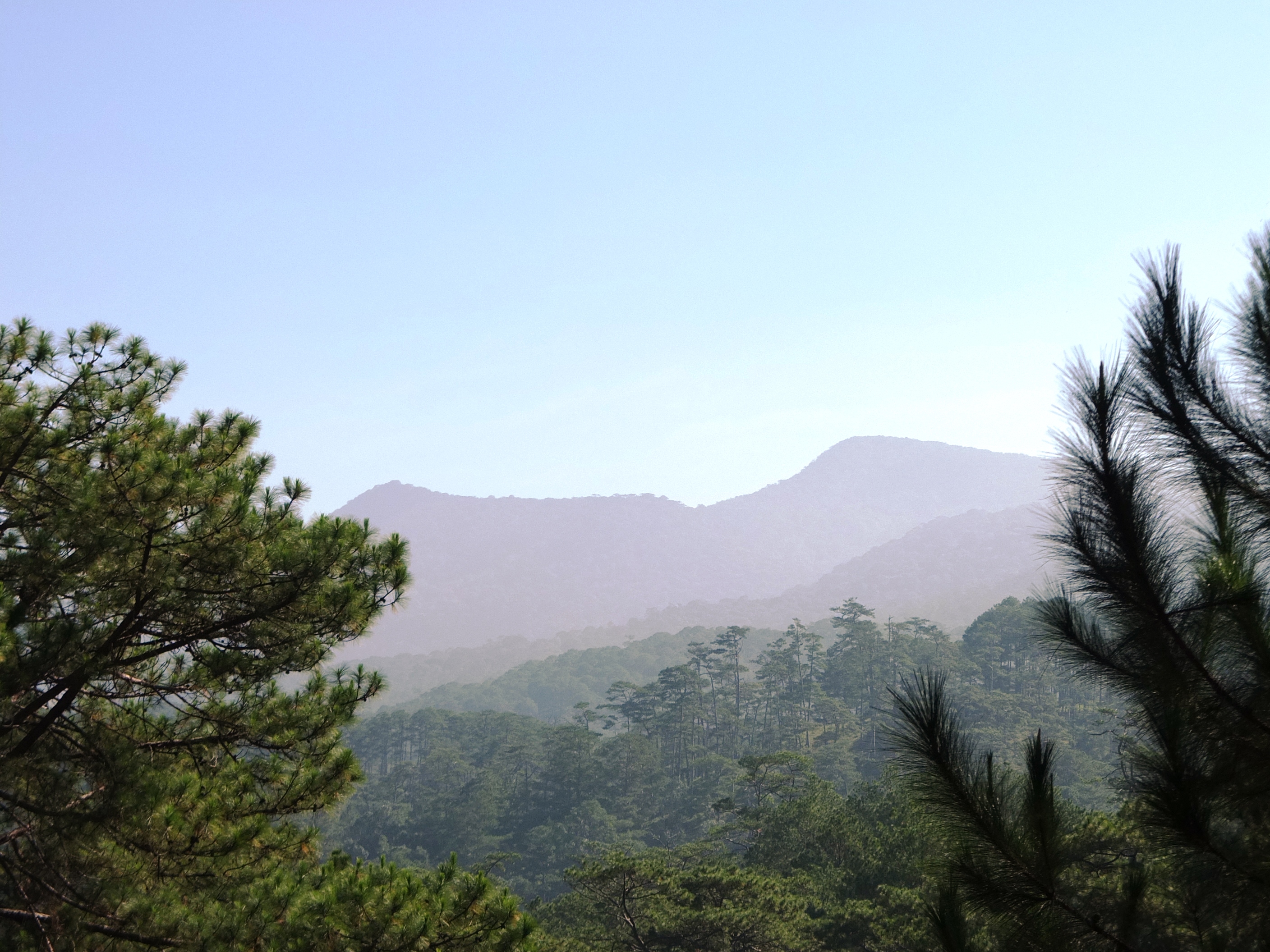 Đỉnh n&uacute;i Bidoup, cao 2.278m, cao nhất cao nguy&ecirc;n L&acirc;m Vi&ecirc;n