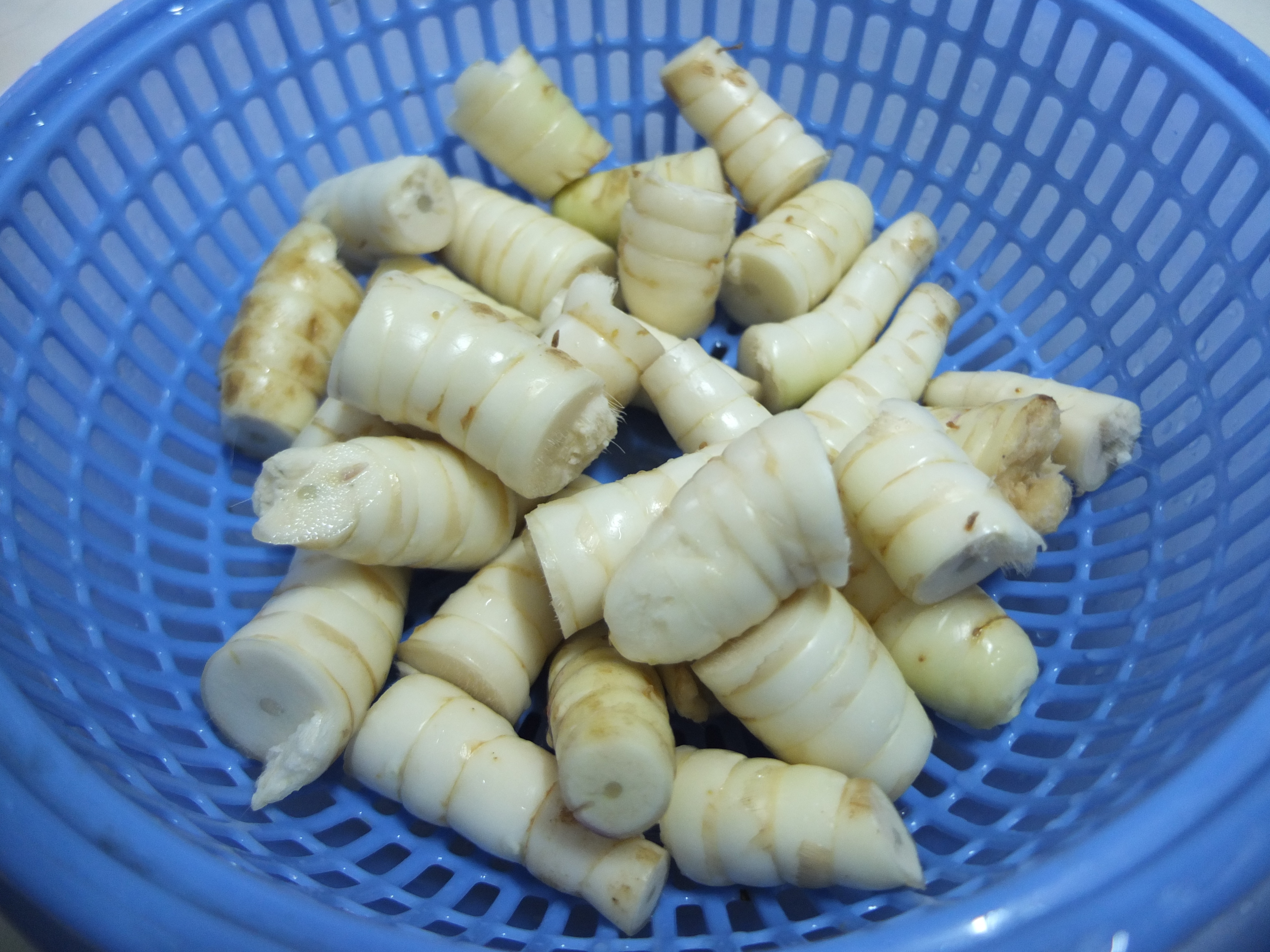 B&igrave;nh tinh, củ chỉ c&oacute; v&agrave;o m&ugrave;a gi&oacute; bấc