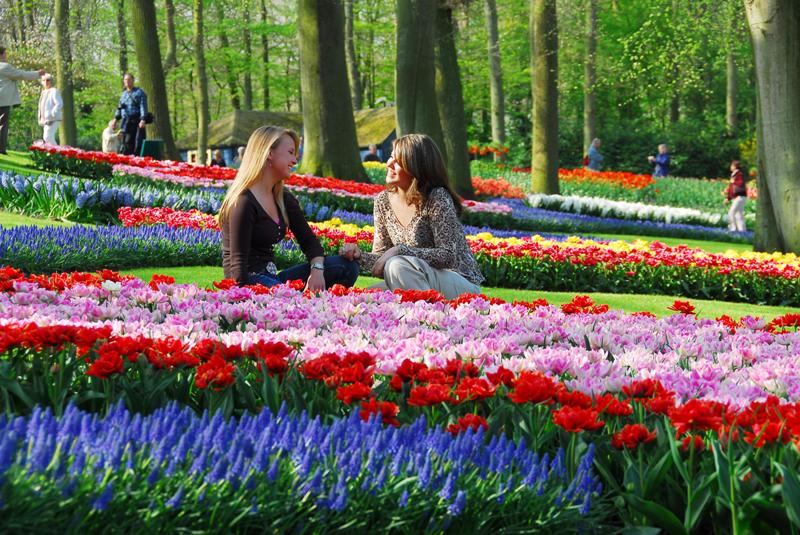 Du khách tham quan vườn Keukenhof rực rỡ trong nắng xuân