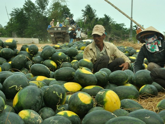 Nhờ thanh niên, công đoàn tiêu thụ dưa hấu, hành tím thì bất ổn quá