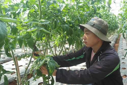 Nhiều đặc sản chuẩn bị lên kệ