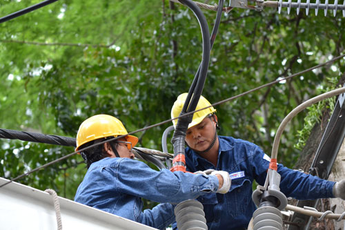 Điện lực TP HCM: Hướng đến quyền lợi khách hàng