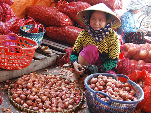 Gia vị tươi Trung Quốc áp đảo