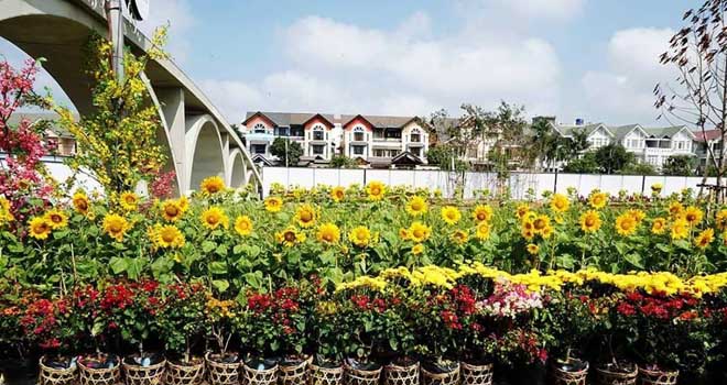 Tr&agrave;n ngập sắc Xu&acirc;n