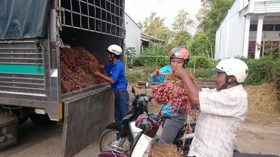 Lực lượng Đo&agrave;n vi&ecirc;n, thanh ni&ecirc;n S&oacute;c Trăng tham gia b&aacute;n h&agrave;nh trực tiếp cho người ti&ecirc;u d&ugrave;ng
