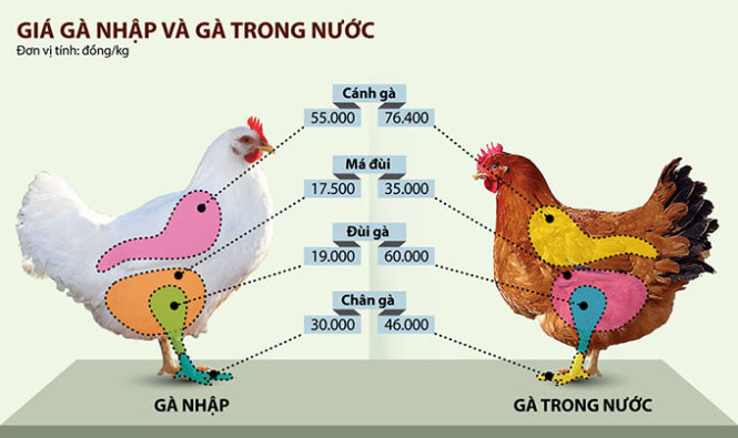 Gi&aacute; g&agrave; nhập v&agrave; g&agrave; trong nước - Đồ họa: Tấn Đạt