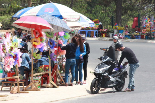Nhiều người đang ph&acirc;n v&acirc;n gi&aacute; của c&aacute;c loại hoa hồng