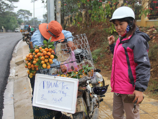 Trái thanh trà miền Tây "mò" lên Đà Lạt
