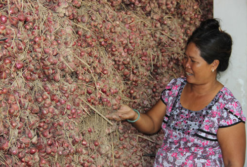 Giải bài toán đầu ra nông sản