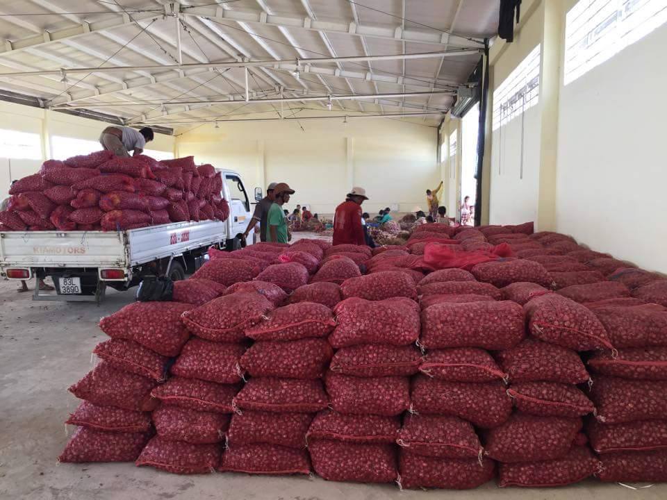 H&agrave;nh t&iacute;m c&ograve;n tồn kho khoảng 50.000 tấn