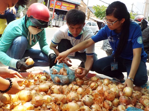 Người Sài Gòn "giải cứu hành tây" giúp nông dân Đà Lạt