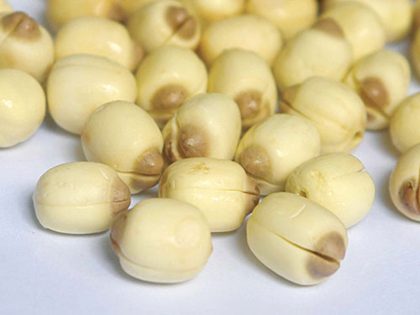 Lợi ích thiết thực từ hạt sen