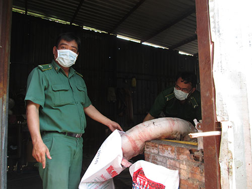 Heo bệnh được giết mổ để đem đi ti&ecirc;u thụ bị Đo&agrave;n Kiểm tra li&ecirc;n ng&agrave;nh huyện B&igrave;nh Ch&aacute;nh, TP HCM phát hi&ecirc;̣n    Ảnh: NGỌC ÁNH