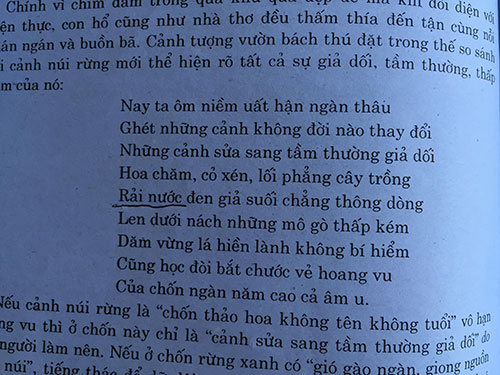 Sách mẫu đầy... sạn!: Cắt nghĩa bậy, diễn đạt sai