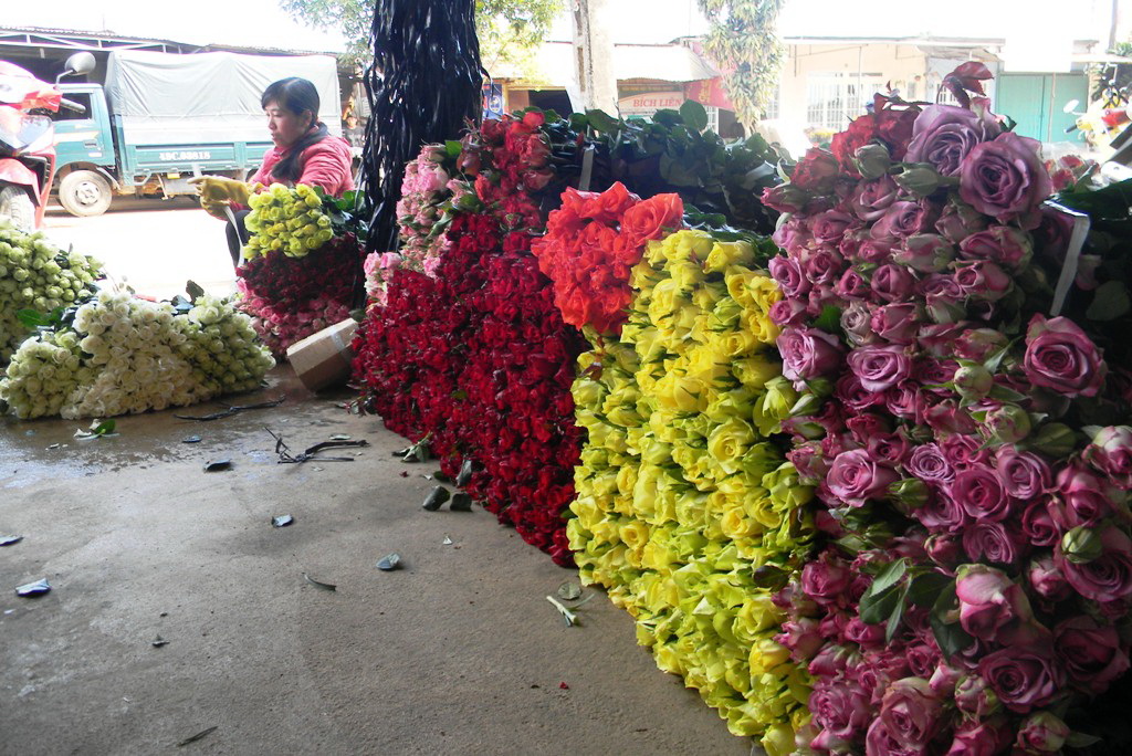 &nbsp;Hoa hồng Đ&agrave; Lạt vẫn l&agrave; mặt h&agrave;ng chủ lực v&agrave;o c&aacute;c dịp lễ.