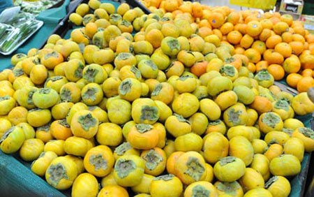 Hồng Đà Lạt rớt giá thê thảm
