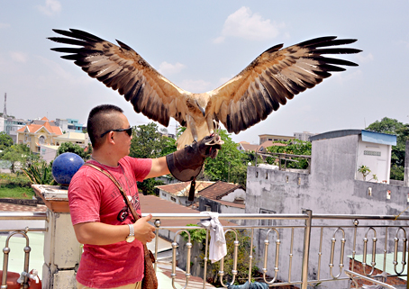 Chơi chim đại bàng