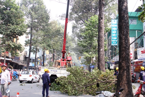 Hiện trường c&acirc;y g&atilde;y tr&ecirc;n đường Ng&ocirc; Gia Tự, phường 3, quận 10, TP HCM