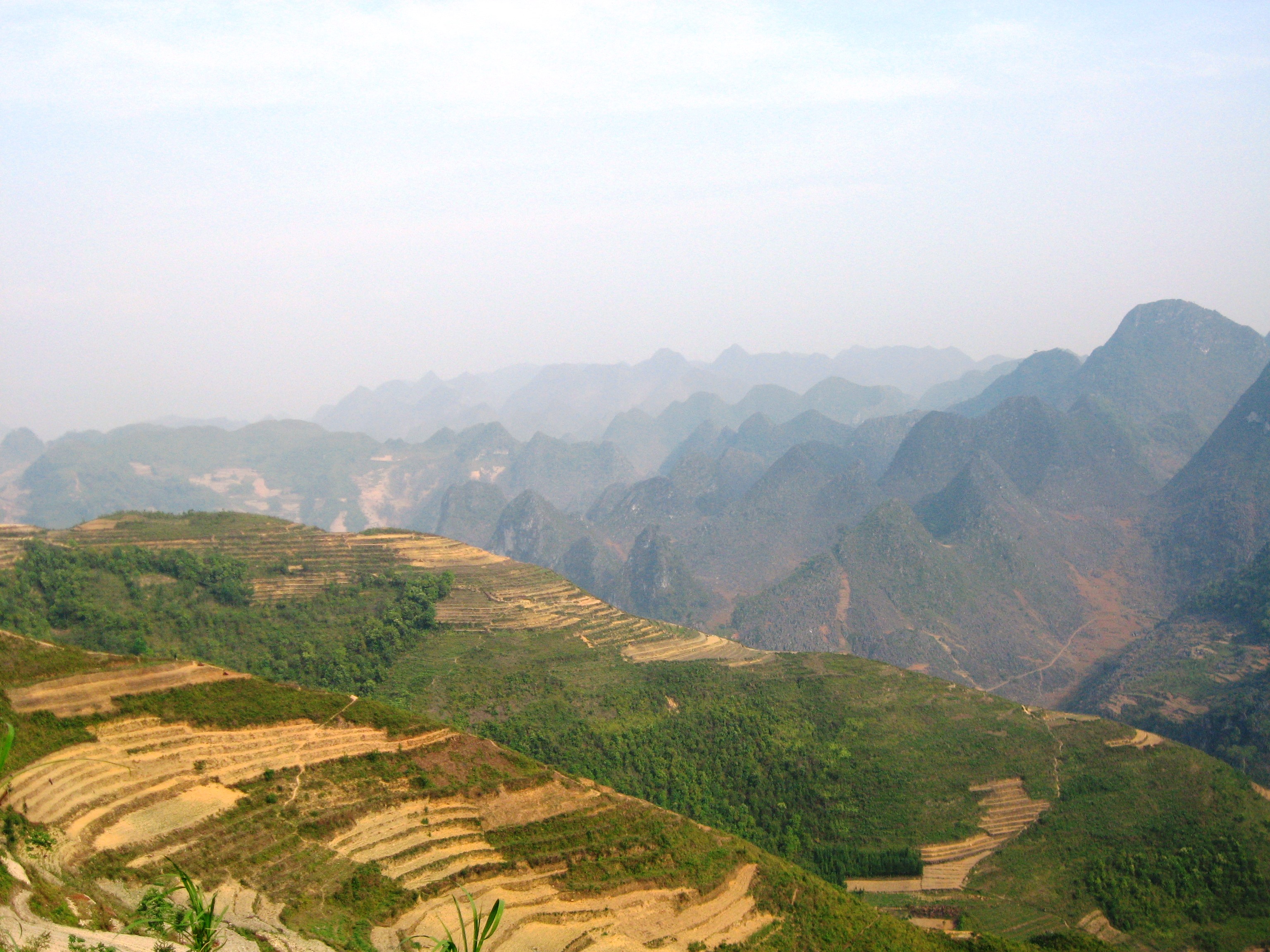 Thay cho l&uacute;a v&agrave;ng của m&ugrave;a thu, những thửa ruộng bậc thang tr&ecirc;n đường v&agrave;o Lũng C&uacute; th&aacute;ng 4 l&agrave; những vạt đất v&agrave;ng vọt
