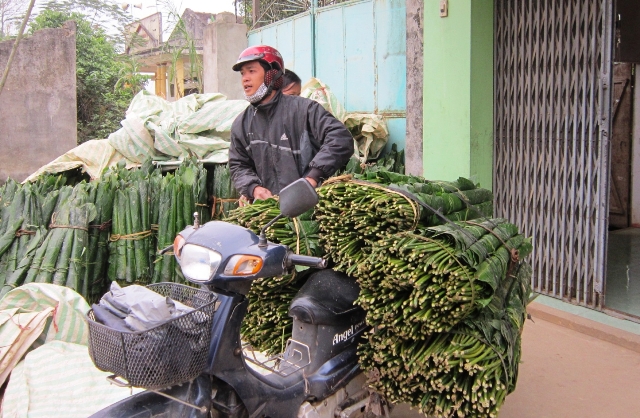 Mỗi một b&oacute; l&aacute; dong 100 l&aacute; được b&aacute;n với gi&aacute; 60.000 đồng