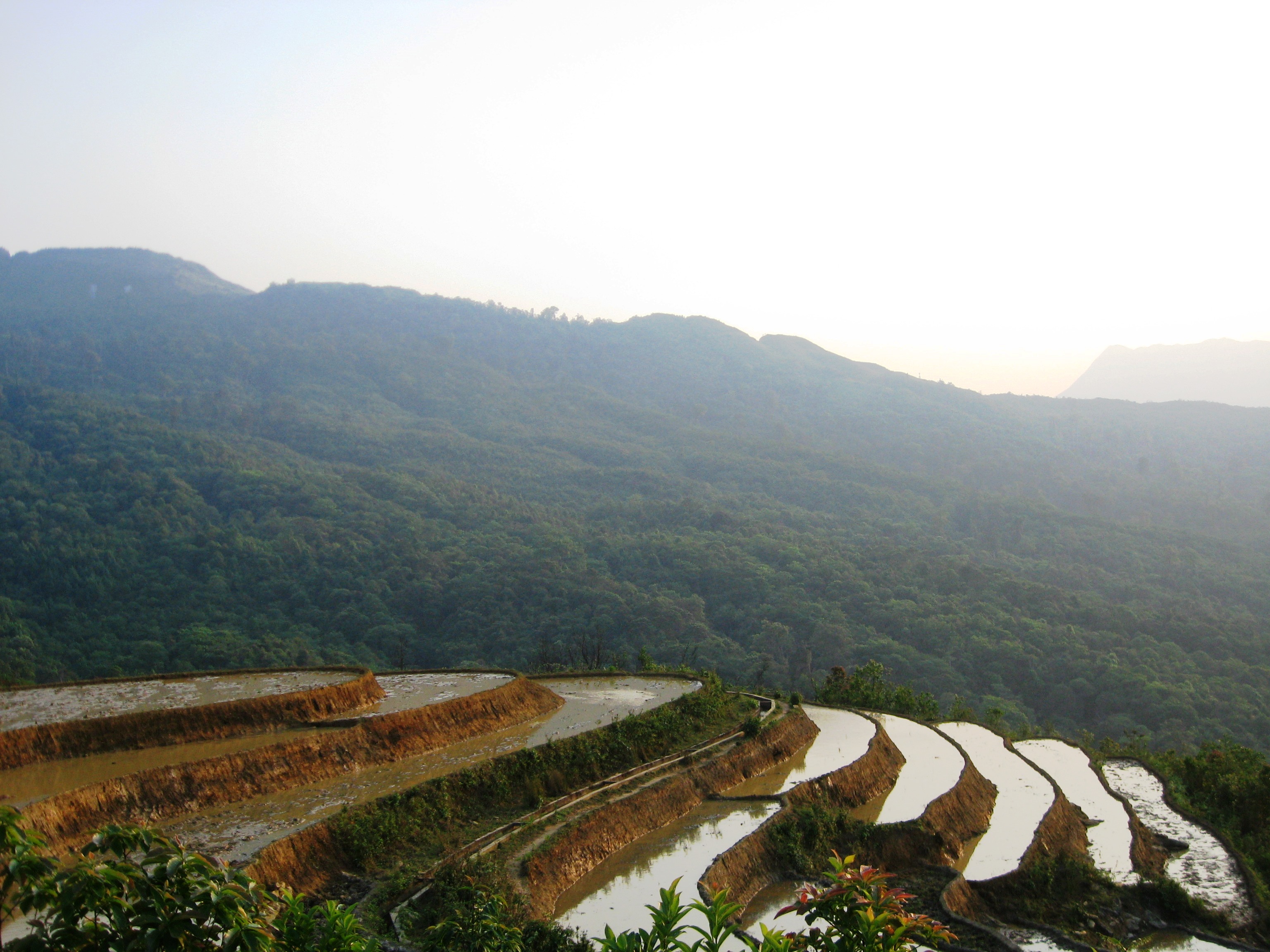 Ruộng bậc thang Y T&yacute; m&ugrave;a gieo hạt