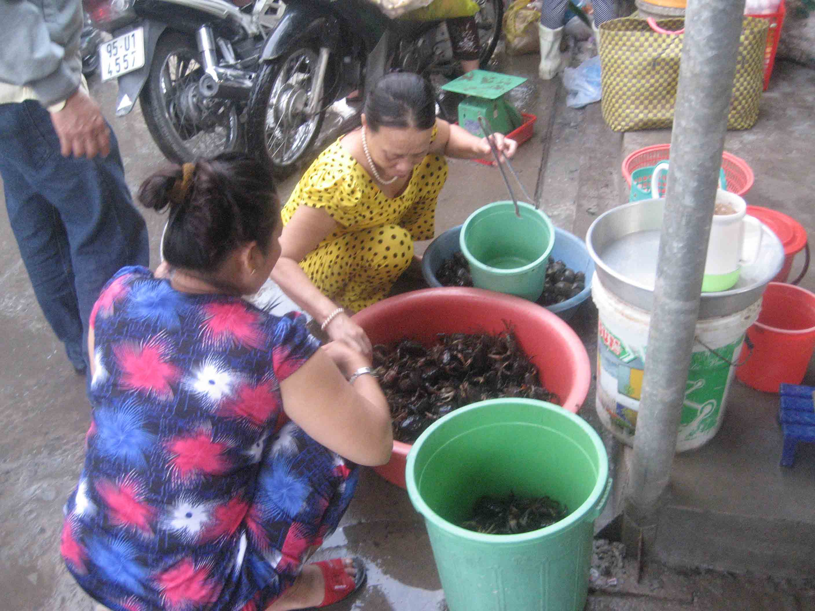Do khan hiếm n&ecirc;n ng&agrave;y c&agrave;ng c&oacute; nhiều người t&igrave;m mua cua đồng ở chợ