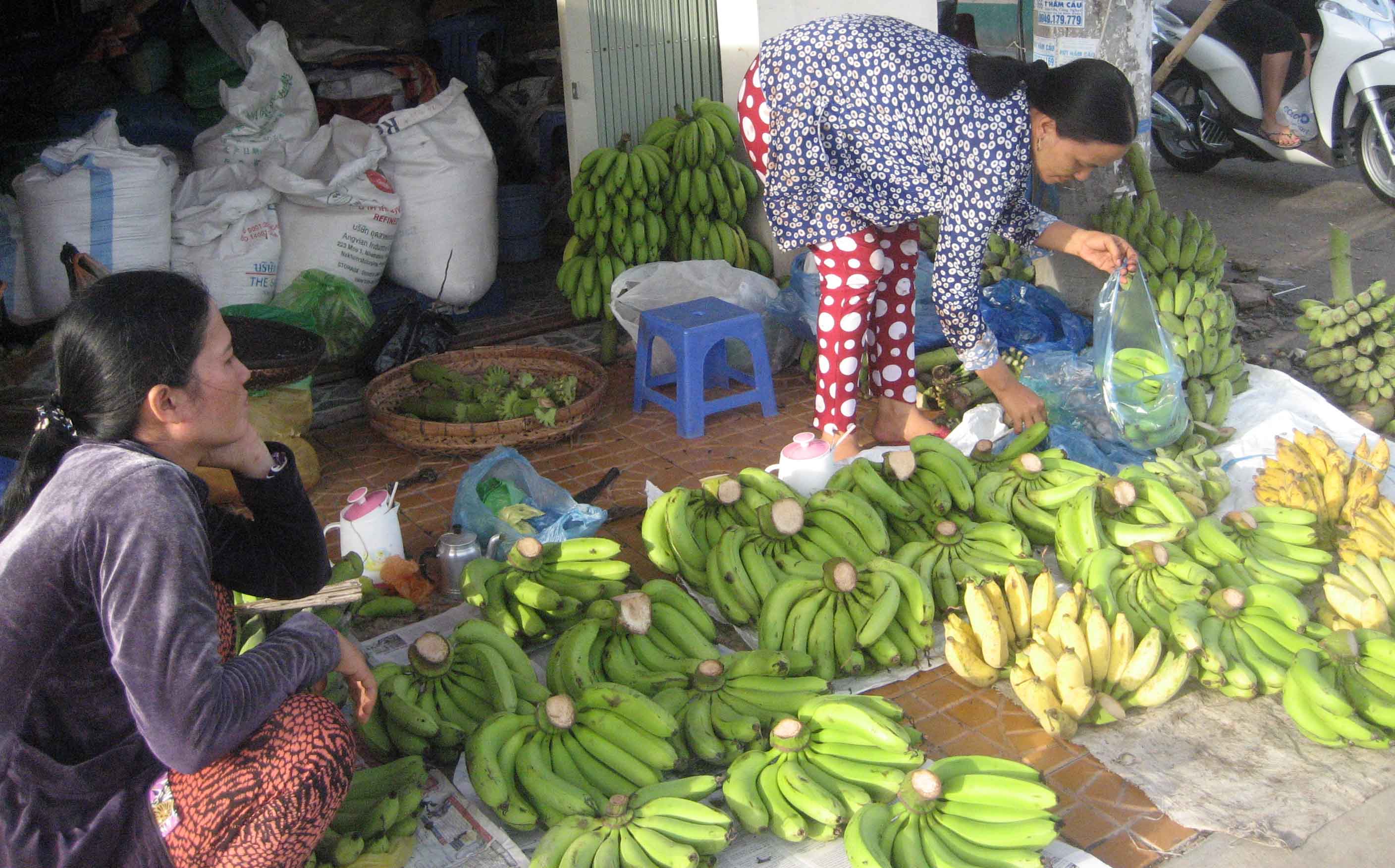 Người ti&ecirc;u d&ugrave;ng đang chọn mua những nải chuối c&oacute; k&iacute;ch cỡ vừa phải