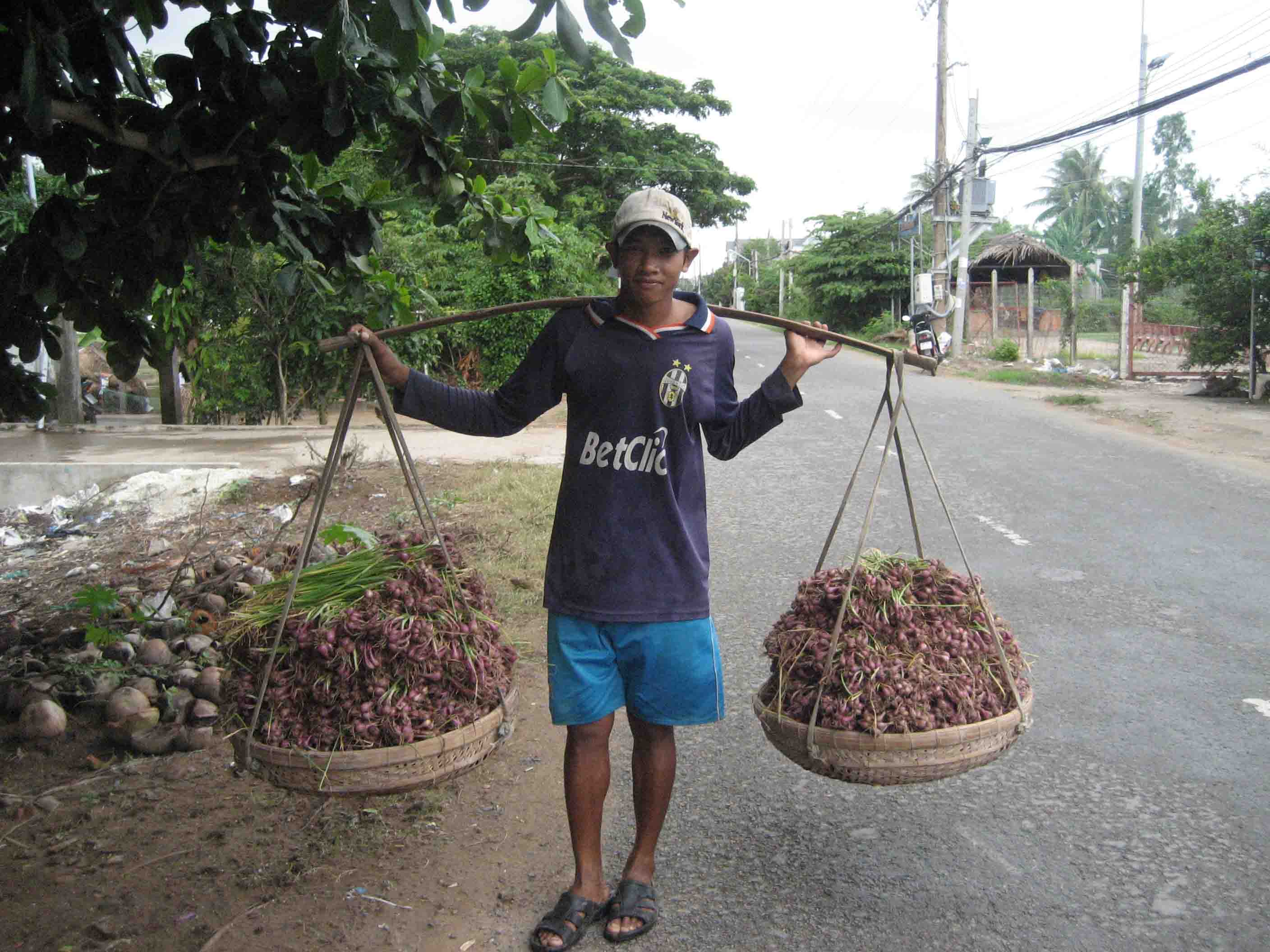 G&aacute;nh h&agrave;nh giống về nh&agrave;