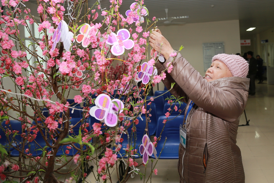 Trang tr&iacute; c&agrave;nh đ&agrave;o tết