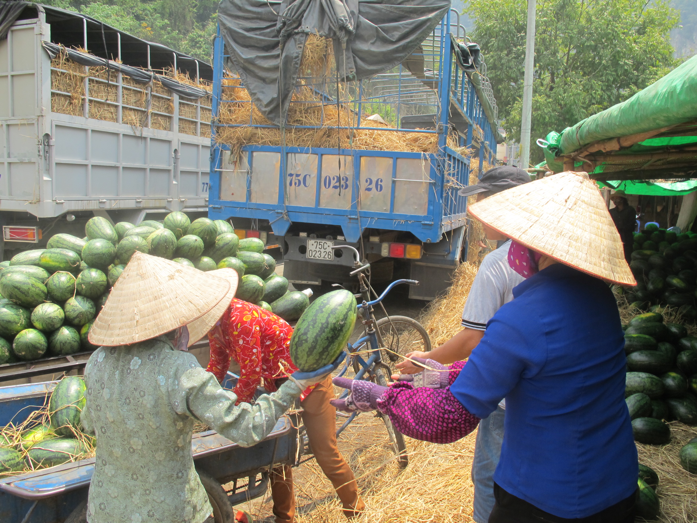 Nhiều xe dưa đ&atilde; bị ph&iacute;a Trung Quốc trả về v&igrave; kh&ocirc;ng đạt chất lượng, được chủ h&agrave;ng mang về b&aacute;n đổ b&aacute;n th&aacute;o với gi&aacute; rẻ chỉ từ 10-20 ng&agrave;n đồng/quả ở ngay cửa khẩu T&acirc;n Thanh.