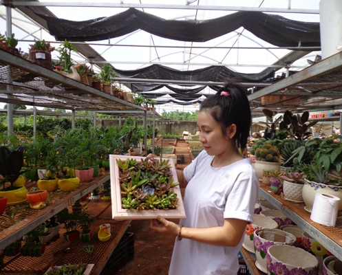 tam-dac-voi-chau-canh-thiet-ke-thanh-khung-anh-5e5d9