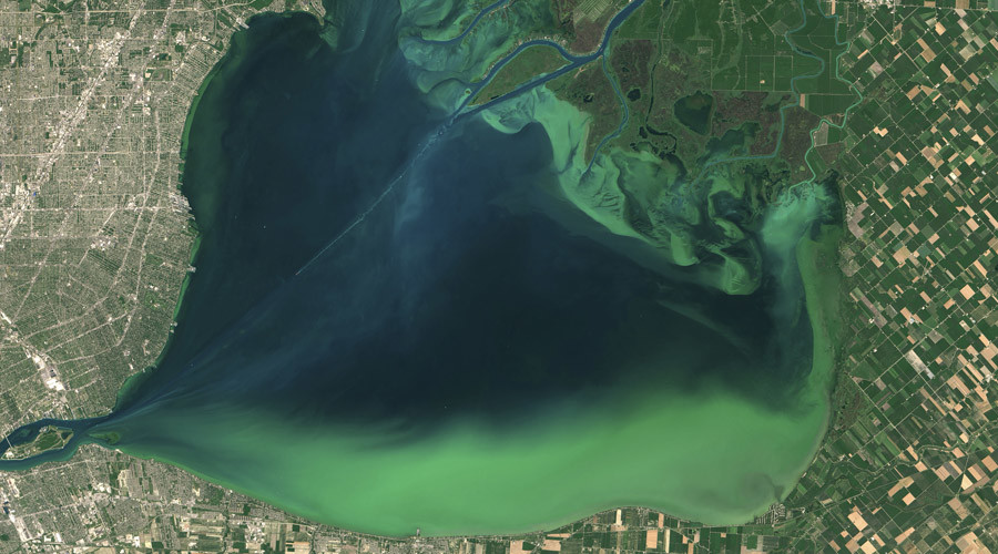 Algal blooms visible as swirls of green are seen in Lake St. Clair, on the border of Michigan and Ontario, Canada, in a NASA Landsat 8 satellite image taken July 28, 2015. Picture taken July 28, 2015. © NASA