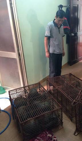 "Giải cứu"  11 con tê tê làm mồi cho quán nhậu
