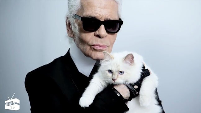 M&egrave;o của nh&agrave; thiết kế Karl Lagerfeld được nhiều hợp đồng quảng c&aacute;o