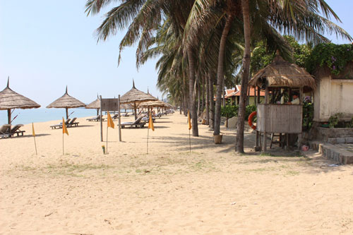 Cát cứ bãi biển