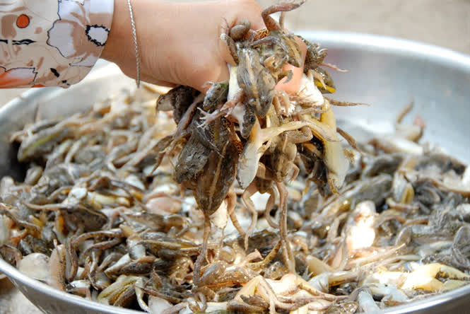 Sau khi lột da nh&aacute;i xong, cần phải đem đi rửa nước sạch.