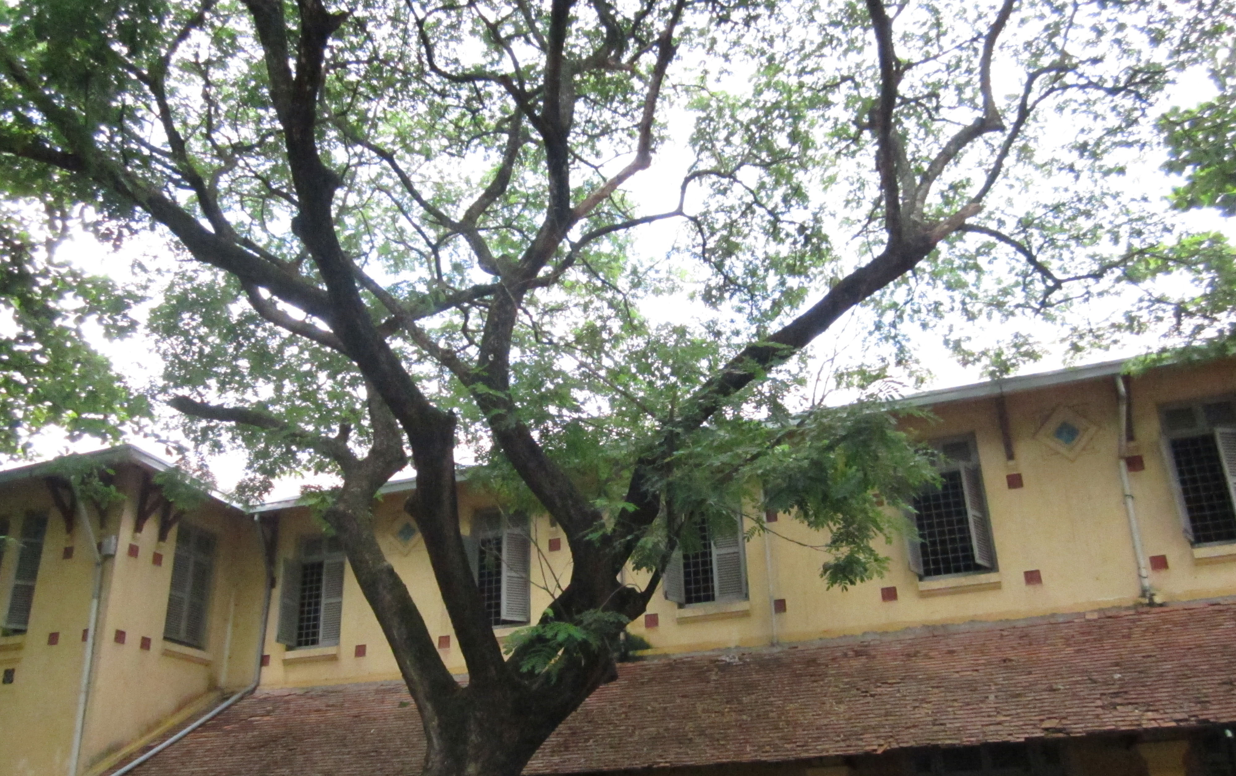 Coll&egrave;ge de Can Tho l&agrave; c&ocirc;ng tr&igrave;nh kiến tr&uacute;c cổ c&oacute; gi&aacute; trị về lịch sử, văn h&oacute;a, mỹ thuật&nbsp;
