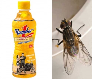 Yêu cầu kiểm tra dây chuyền sản xuất của Tân Hiệp Phát