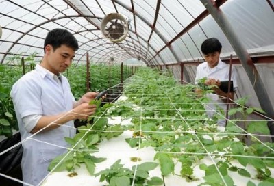 Điều tra, quy hoạch rừng có được hưởng chế độ nặng nhọc, độc hại?