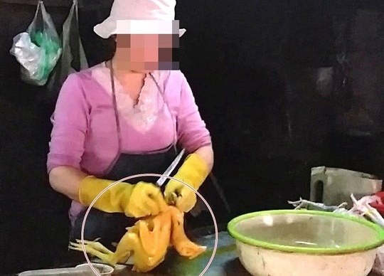 Những con số đáng sợ