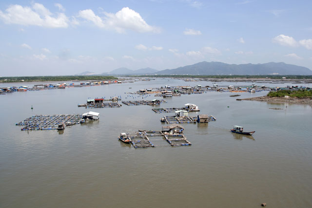 Long Sơn thu hút du khách bởi các món hải sản tươi ngon từ hàu, tôm, cá được nuôi tại làng bè