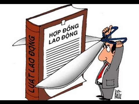 Chậm ký hợp đồng lao động