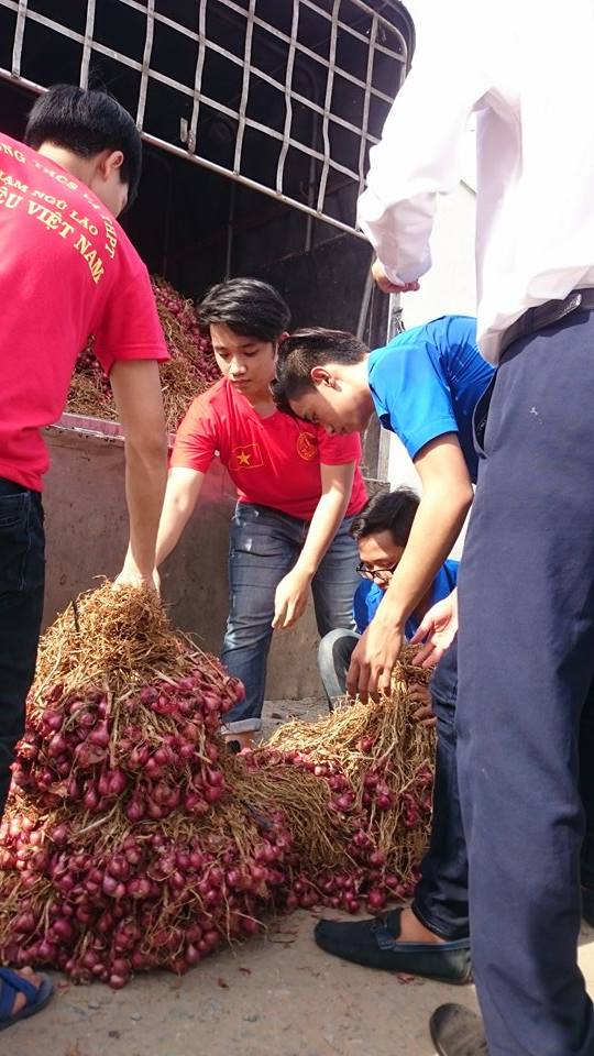 Trước khi được giải cứu, h&agrave;nh t&iacute;m Vĩnh Ch&acirc;u ch&iacute; c&oacute; gi&aacute; từ 2.000- 3.000 đồng/kg