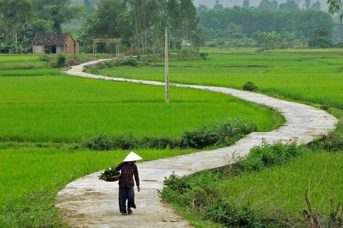 Chiếc giường của mẹ!