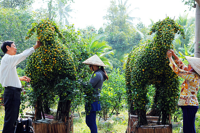 Nghệ nhân đang chăm sóc cho hai chú dê kiểng để chuẩn bị đưa ra trưng bày tại hội chợ Hoa Xuân Bình Điền