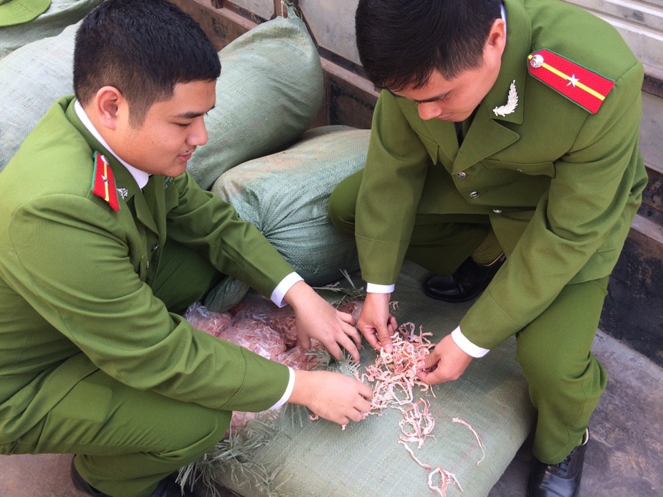 mực kh&ocirc; xe nhỏ th&agrave;nh sợi đầy khả nghi