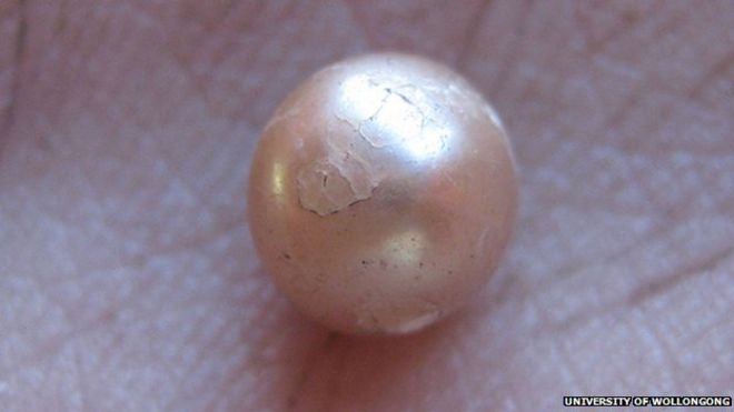 Ngọc trai cổ c&oacute; sắc hồng &aacute;nh v&agrave;ng kim (Ảnh BBC)