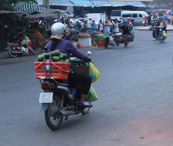 C&aacute;c tiểu thương mang bơ ra chợ Đ&agrave; Lạt b&aacute;n lẻ