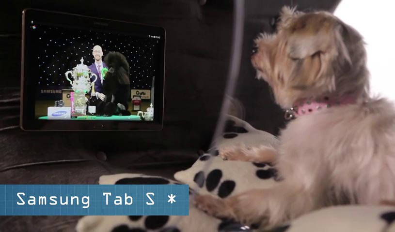 Hay thoải m&aacute;&iacute; nằm giải tr&iacute;,... Ảnh cắt từ clip.